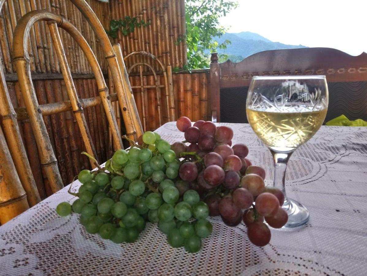 Guest House And Cellar Winery In Ortabatumi Batumi Georgia Dış mekan fotoğraf