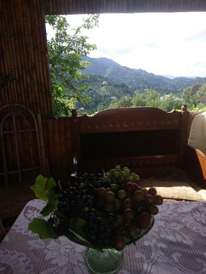 Guest House And Cellar Winery In Ortabatumi Batumi Georgia Dış mekan fotoğraf